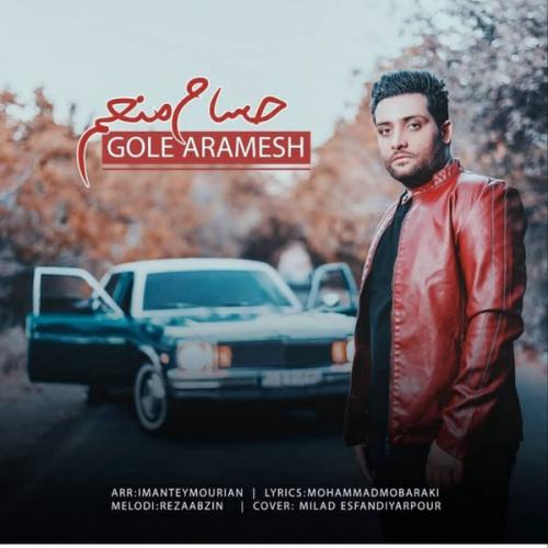 دانلود آهنگ گل آرامش